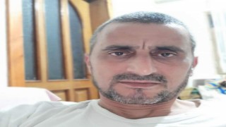 Üzerine ağaç devrilen şahıs hayatını kaybetti