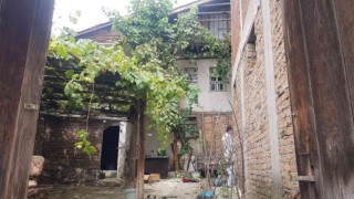 Üzüm bağı toplamak için çıktığı ahşap balkon sonu oldu