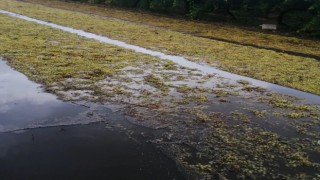 Üzüm sergileri su altında kaldı