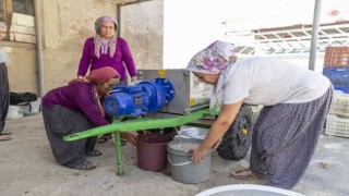 Üzüm sıkma makinesi hibesi üreticilerin yüzünü güldürüyor