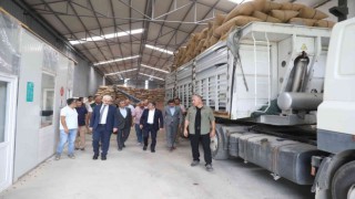 Valiler Atay ve Kılıç, fındık alım merkezini inceledi