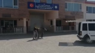 Vanda bir organizatör hakkında işlem yapıldı