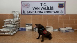 Vanda iki ayda 12 bin 438 paket kaçak sigara ele geçirildi