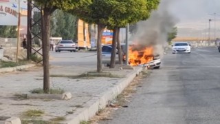 Vanda seyir halindeki otomobil alev alev yandı