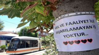Vatandaşlar motivasyon kaynağını ağaçlara yazılan notlarda buldu