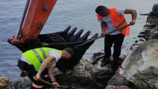 Yalova Belediyesinin yosunla mücadelesi devam ediyor