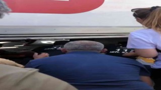Yalovada tırın altında kalan yaşlı kadın yaralandı