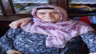 Yalovada tırın altında kalan yaşlı kadın yaşam savaşını kaybetti