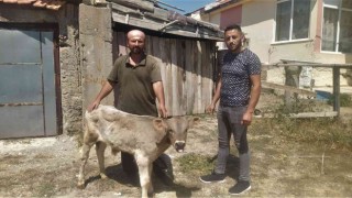 Yaptığı hareketle insanlık ölmemiş dedirtti