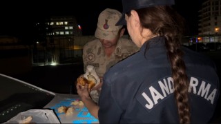 Yaralı martıya jandarma şefkati