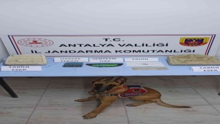 Yaşlı kadın evinde uyuşturucu ve tarihi eserle yakalandı