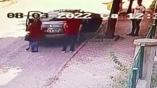 Yavru kediyi sokağa attı, 2 bin 724 lira ceza yedi