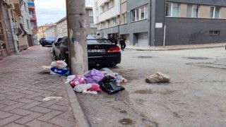 Yazılı uyarılar da onların umurunda değil