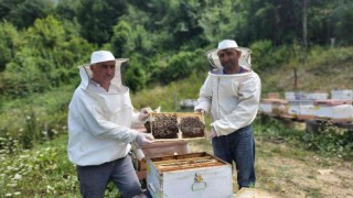 Yenice Ihlamur Balı Tescil yolunda