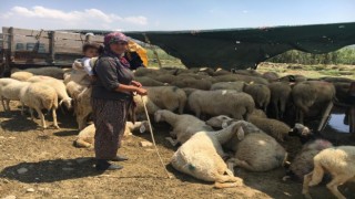 Yerlerinden edilen Yörükler isyan etti