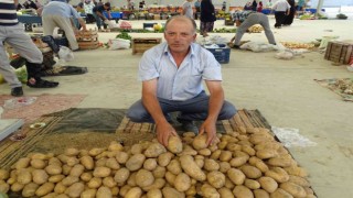 Yerli patates çıktı fiyatlar yine düşmedi