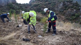 YK Enerji son 3 yılda 1 milyonu aşkın fidanı toprakla buluşturdu