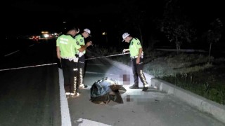 Yol kenarında katı atık toplarken kazada hayatını kaybetti