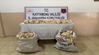 Yol kenarındaki tezgahtan çaldığı sarımsakları pazara götürürken jandarmaya yakalandı