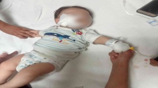 Yörük Şenliğinde feci olay: Atın ısırdığı bebek ağır yaralandı