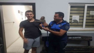 Zabıtanın dikkati Roccoyu kurtardı