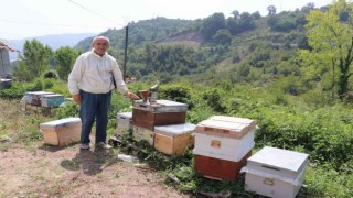 Zonguldakta bal üretimi 300 tondan 30 tona düştü