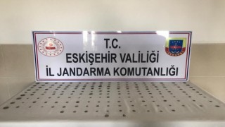 174 parça tarihi eseri satmak isterken jandarmaya yakalandı