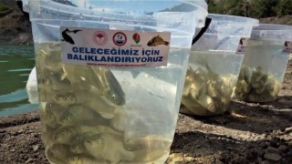 2023 hedefi 100 milyon yavru balık