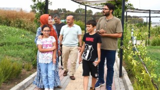 246 kuş türüne ev sahipliği yapan Hersek Lagünü ilgi odağı olmaya devam ediyor