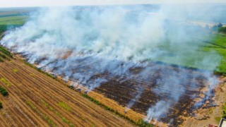 Adanada anız yangınları kenti dumana boğuyor