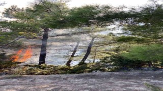 Adanada çifte orman yangını