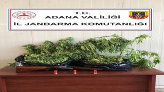 Adanada uyuşturucu operasyonu