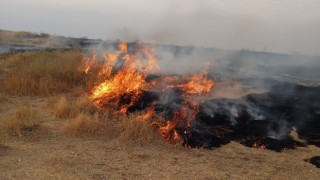 Adır Adasındaki yangın bugün tekrar başladı