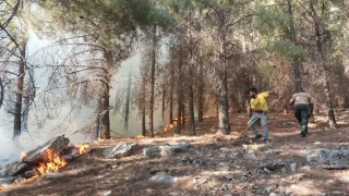 Adıyamanda orman yangını başladı