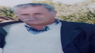 Ağaçtan düşerek hayatını kaybetti