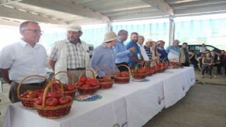 AGROTEC Tarım Fuarında en iyi elma ve domates yetiştiriciliği yarışması