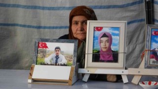 Aileler evlatlarını bin 118 gündür HDPden istiyor