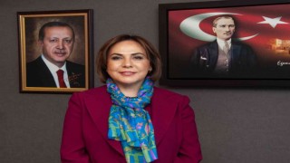 AK Partili Yılmaz: Mersinde 10 yeni okul, 242 derslik yapıldı