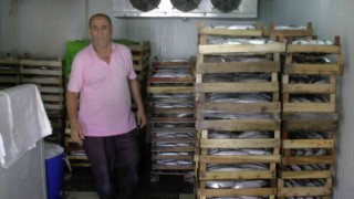 Akçakocadan 3 bin kasa palamut çıktı