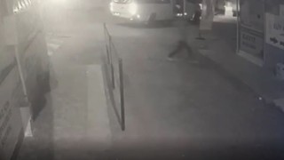 Akli dengesi yerinde olmadığı iddia edilen genç, çevreye zarar verdi