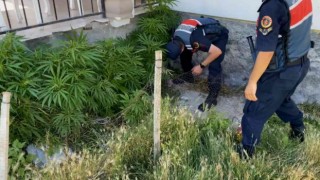 Aksarayda 2 köyde uyuşturucu operasyonu: 1i kadın 2 gözaltı