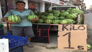 Alaşehirde karpuzun fiyatı 1 buçuk liraya düştü