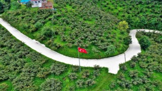 Altınorduda beton yol çalışmaları sürüyor