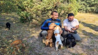 Altıntaşta eğitimli köpeklerle Trüf Mantarı arama çalışmaları