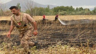 Anız yangını çevreye sirayet etmeden söndürüldü