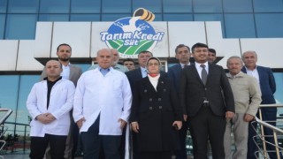 Ankara Milletvekili Lütfiye Selva Çam Başkan Alpi ziyaret etti