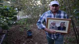 Annesinin kaybolan altın dişlerini arıyor: Getirene 2 ton fındık verecek
