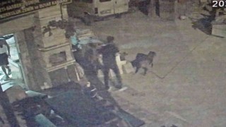 Antalyada akıl almaz olay, tartıştığı arkadaşına sinirlenip aynı ismi taşıyan köpeği vurdu
