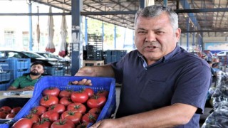 Antalyalı çiftçilerin domatese talebi yüzde 30 arttı