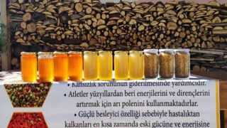 Arıcıların beyaz bal şaşkınlığı